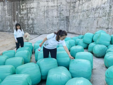 日本女优a片